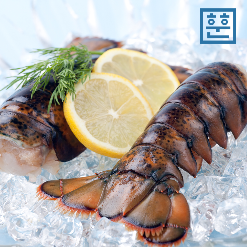 랍스터 테일 1마리 (110~140g) - 메인 이미지