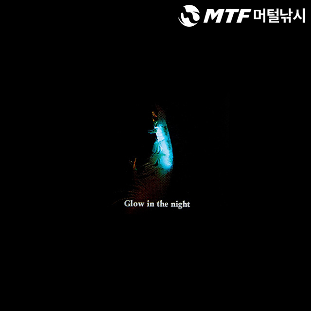 신토와 요쿠바리 야광 부시리 방어 훅 바늘 - 상세 이미지 4