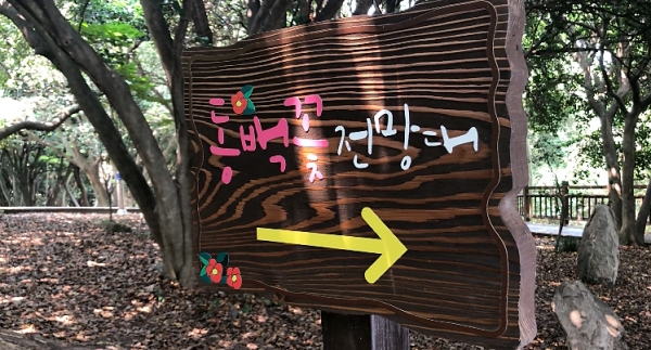 KTX 여수 당일 시티투어 기차여행 시티투어 향일암 오동도 출발확정 국내 여행 - 상세 이미지 3