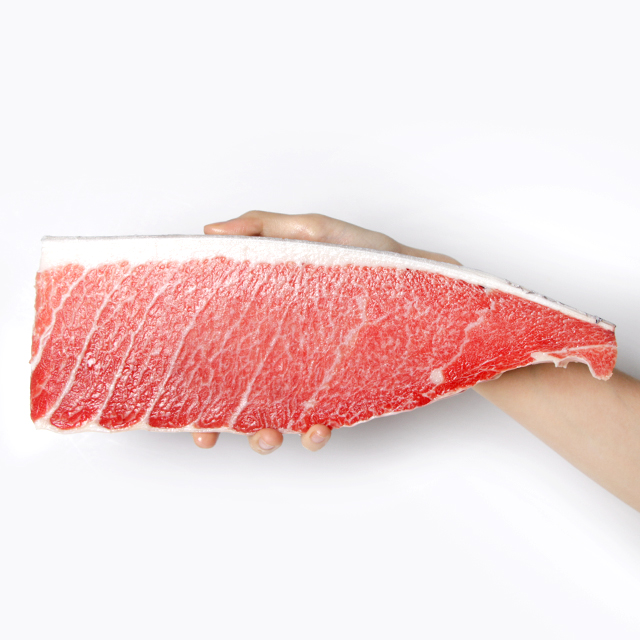 참다랑어 1번 통뱃살(60/50상)1kg, 1.5kg 대뱃살, 중뱃살 500g 냉동참치회