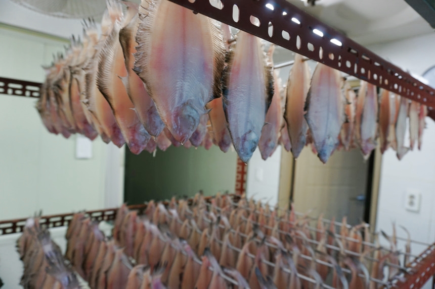 반건조가자미 참가자미 기름 물 가자미 미주구리 구이 조림 제사용 제수용생선 - 상세 이미지 4