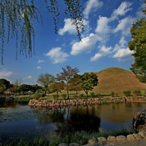 [KTX리뷰보장] 천년의 숨결 경주 세계 문화유산 시티투어 당일 기차여행... 솔직 후기 | 실사용자 리뷰 분석 - 상품 이미지 2