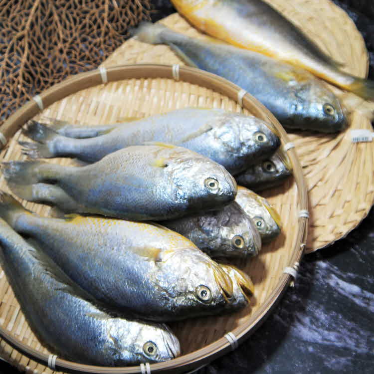 부자생선 부세조기 제수용 구이용 황금생선