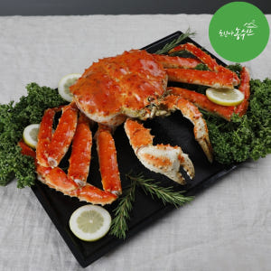 러시아 동해 속초 활 대왕 블루 킹크랩 자숙 선어 활어 1kg 시세 싯가... 맛있게 먹은 솔직 후기 - 상품 이미지 3