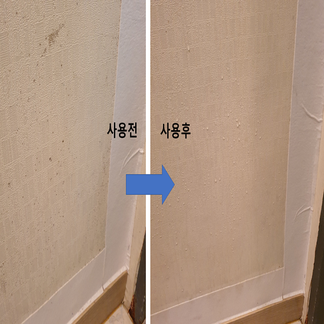 곰팡이 제거제 제거 벽 실크 벽지 화장실 베란다 세탁실 나무 창틀 천장 욕실 팡이제로 쓱싹