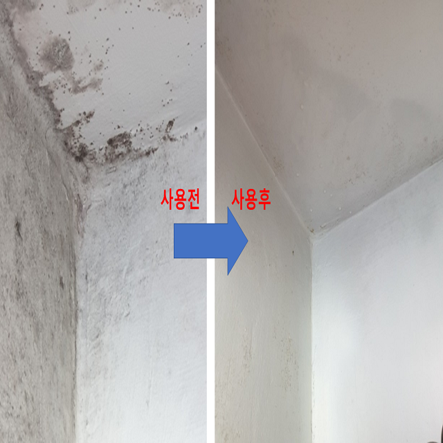 곰팡이 제거제 제거 벽 실크 벽지 화장실 베란다 세탁실 나무 창틀 천장 욕실 팡이제로 쓱싹