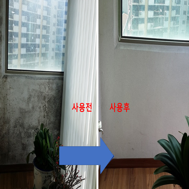 곰팡이 제거제 제거 벽 실크 벽지 화장실 베란다 세탁실 나무 창틀 천장 욕실 팡이제로 쓱싹