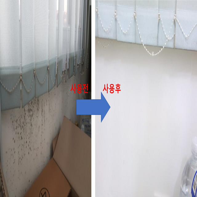곰팡이 제거제 제거 벽 실크 벽지 화장실 베란다 세탁실 나무 창틀 천장 욕실 팡이제로 쓱싹