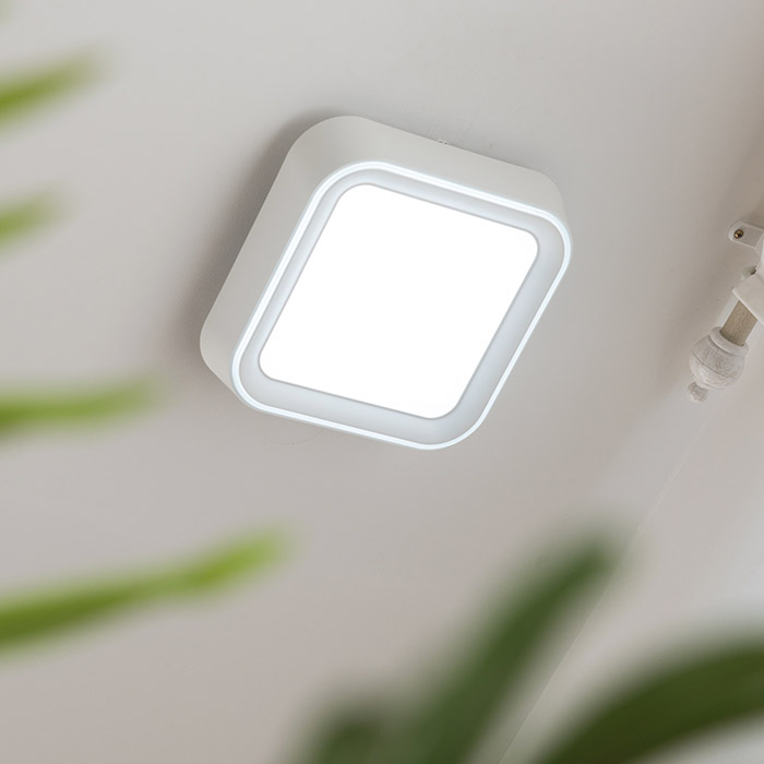 LED 플렛 직부등 20W 복도등 / 계단등 - 상품 이미지
