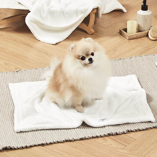 세사온라인 극세사 강아지 수건 펫 목욕 타올 고양이 애견 펫타올 3종