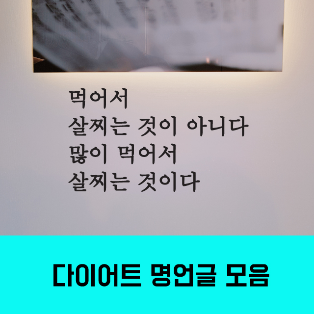 다이어트 운동 레터링 스티커 - 상세 이미지 3