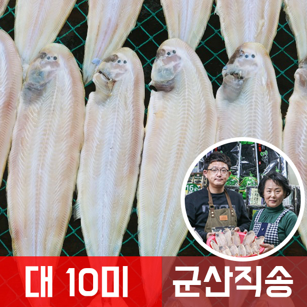 2대째 경력만40년 군산박대 10미 대)사이즈 kbs생생정보통신 출연한 맛집[군산건어물]