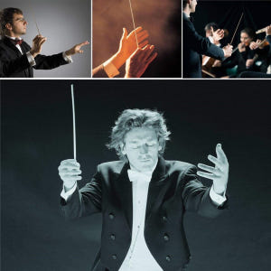 감동을 주는 지휘자 고급 샌달우드 오케스트라 지휘봉 (보관 케이스 포함) 실사용 후기 | 효과 있을까? - 상품 이미지 3