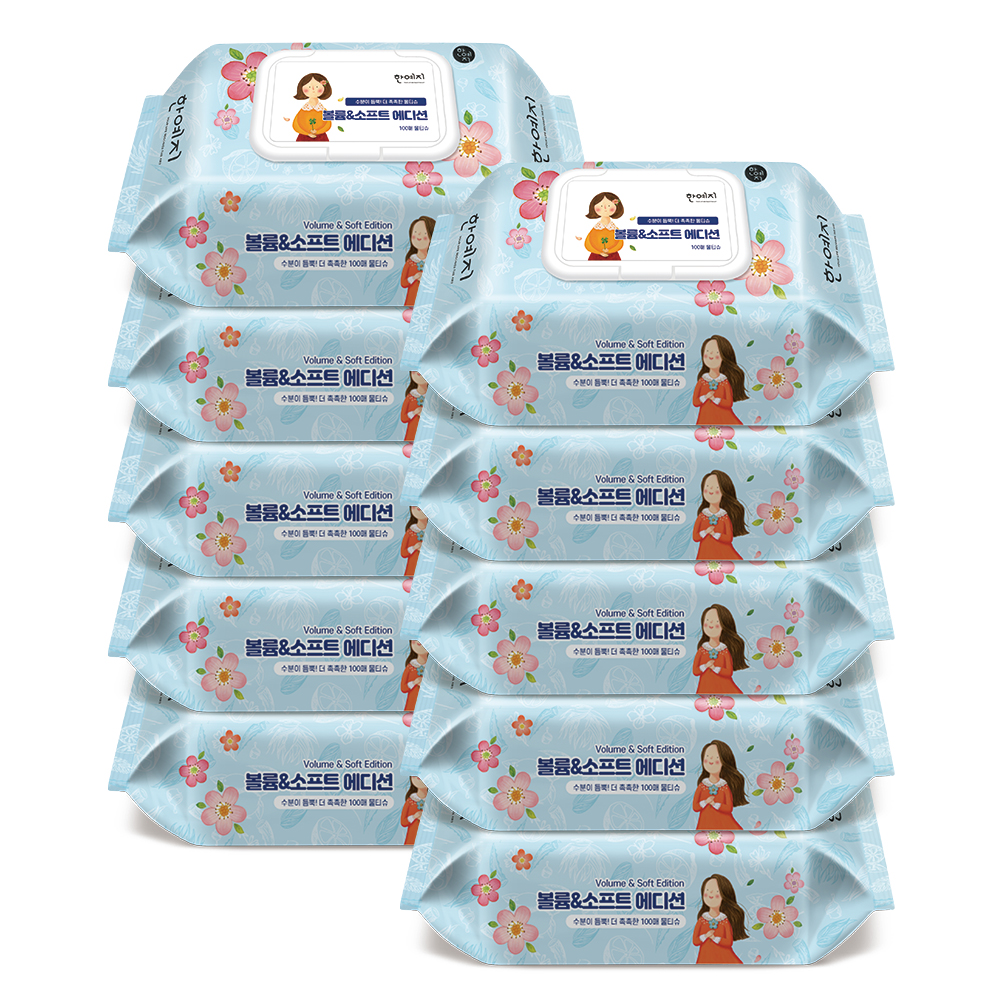한예지 볼륨앤소프트 에디션 물티슈 캡형 100매, 10개