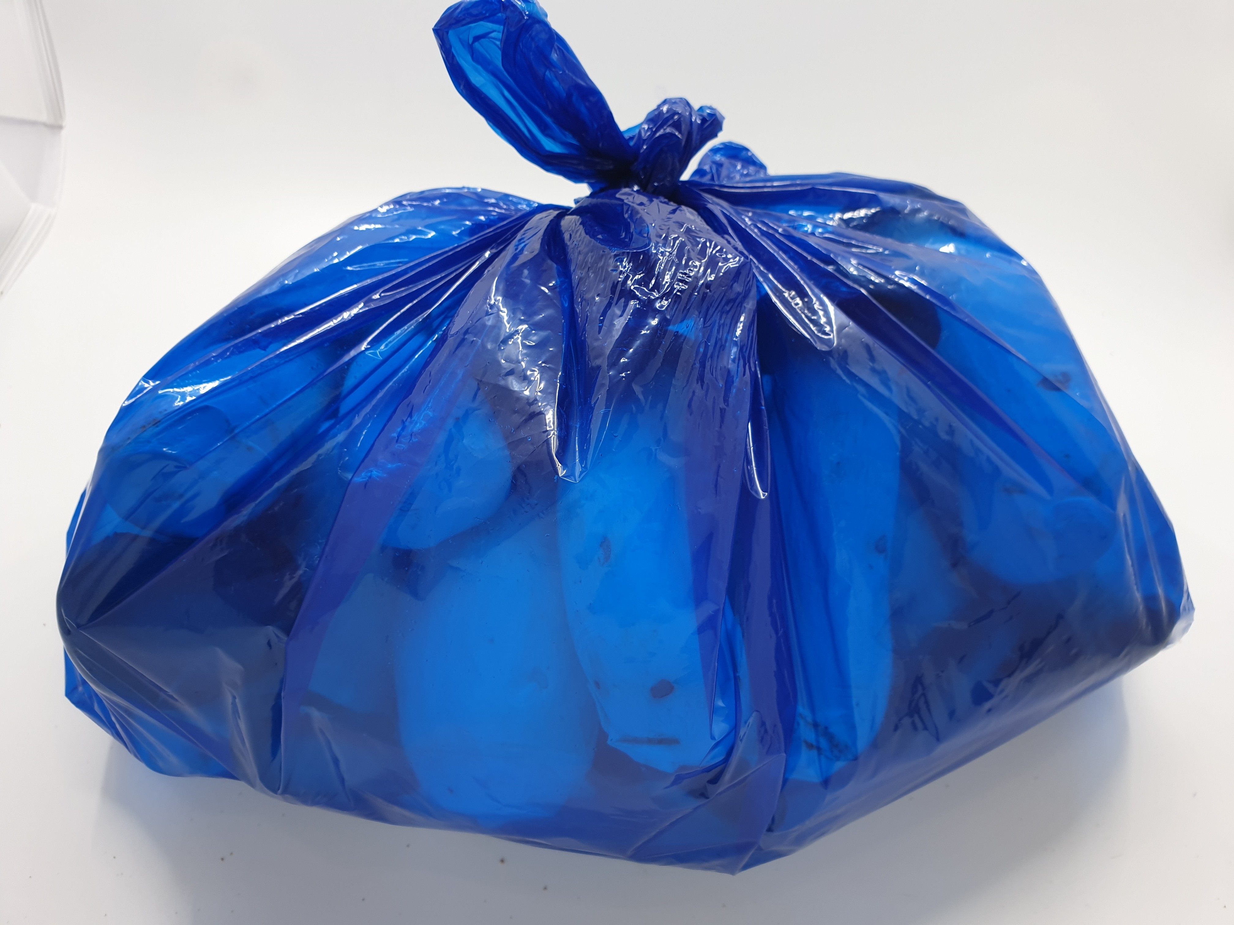 새송이버섯 2kg 총알 미니 버섯 못난이 상 특 - 상세 이미지 3