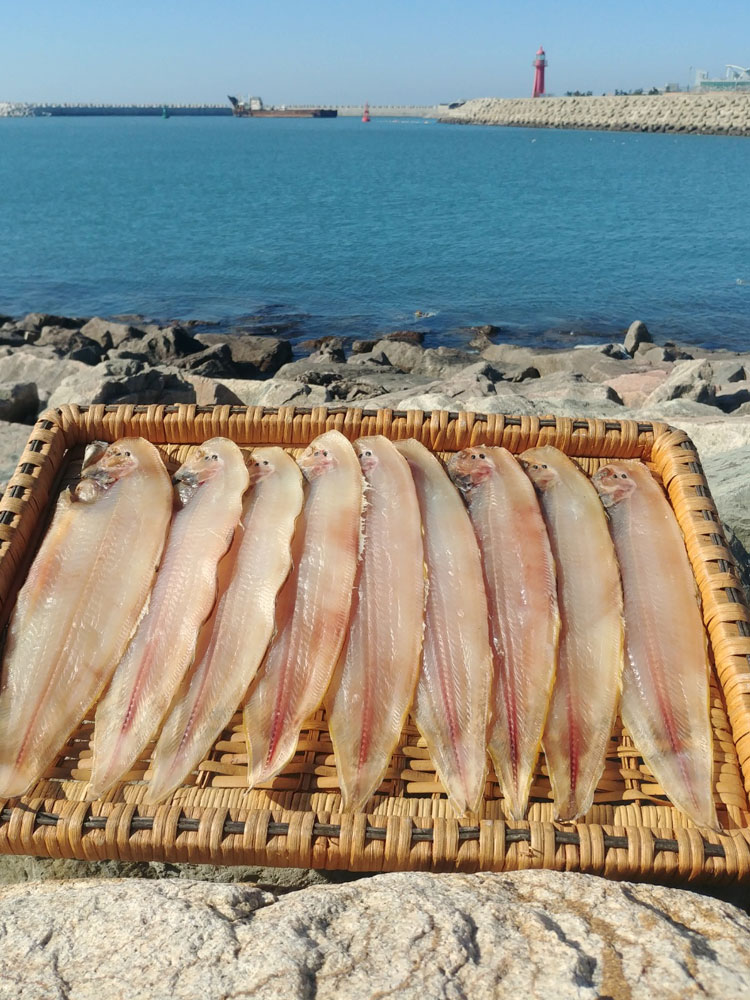 군산 토박이가 파는 군산박대 서대 10미 대사이즈