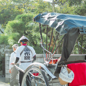 [히타N유후인N벳부] 간식입장료포함6가지특전 일본 후쿠오카 1일 버스투어... 솔직 후기 | 실사용자 리뷰 분석 - 상품 이미지 3