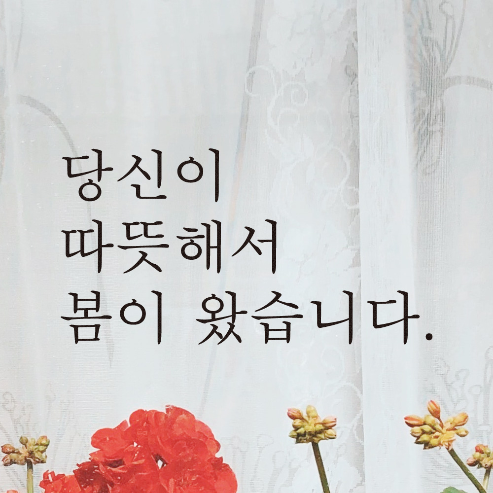 레터링 스티커 좋은 문구 글귀 인테리어 L-001S 검정 이미지 6