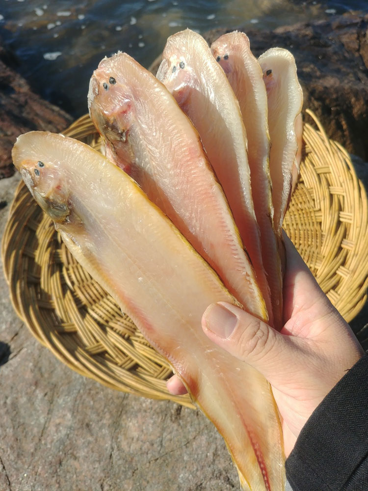 반건조  군산 박대 서대 5미 대 사이즈 박대구이