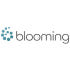 블루밍비데 로고