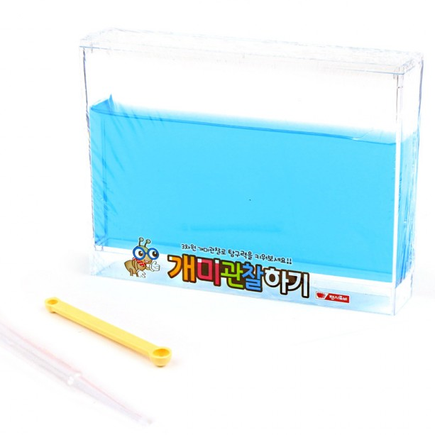 개미 키우기 집 관찰하기 앤트하우스