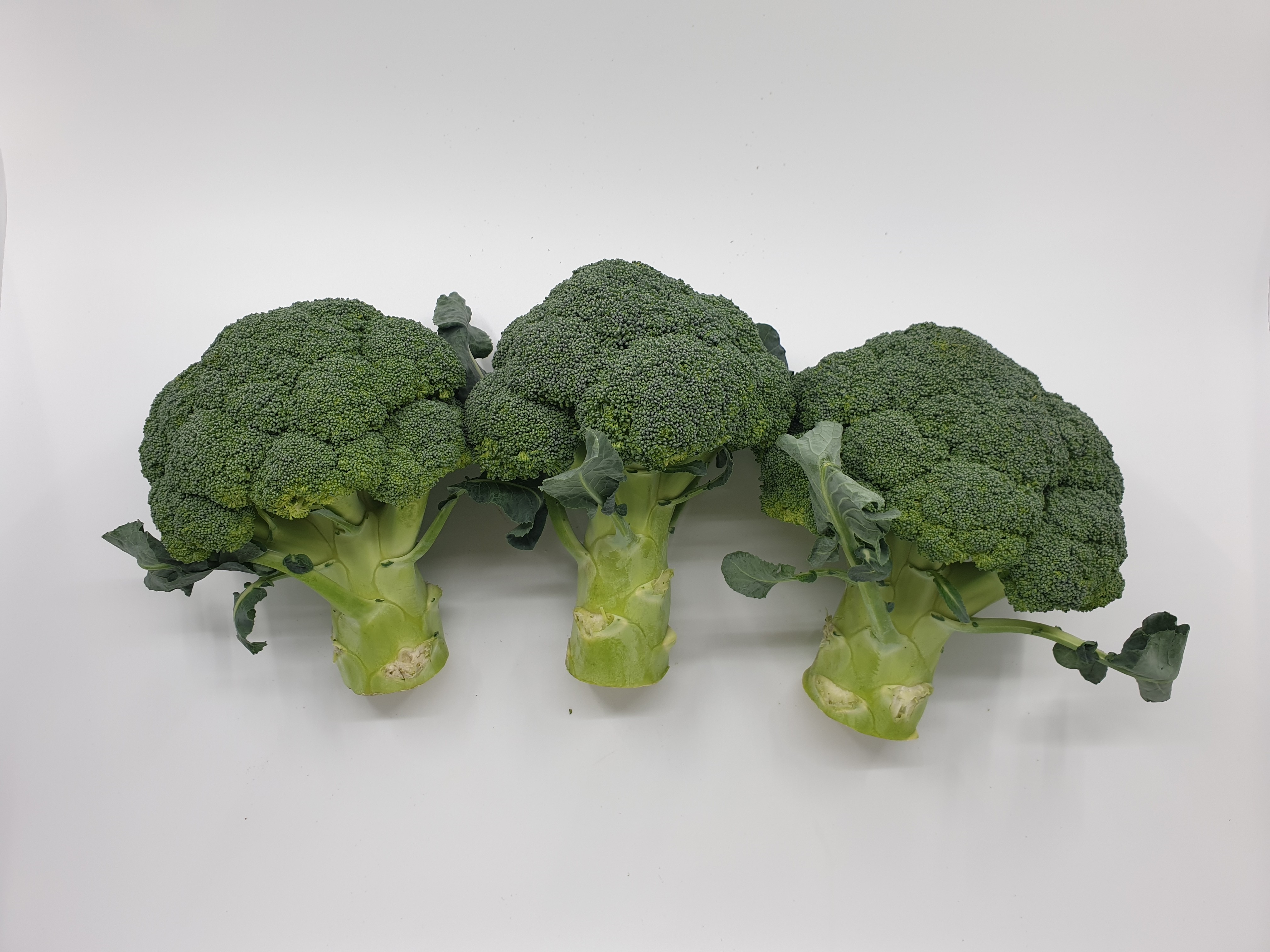 브로콜리 브로컬리 1kg 국내산 - 상세 이미지 4