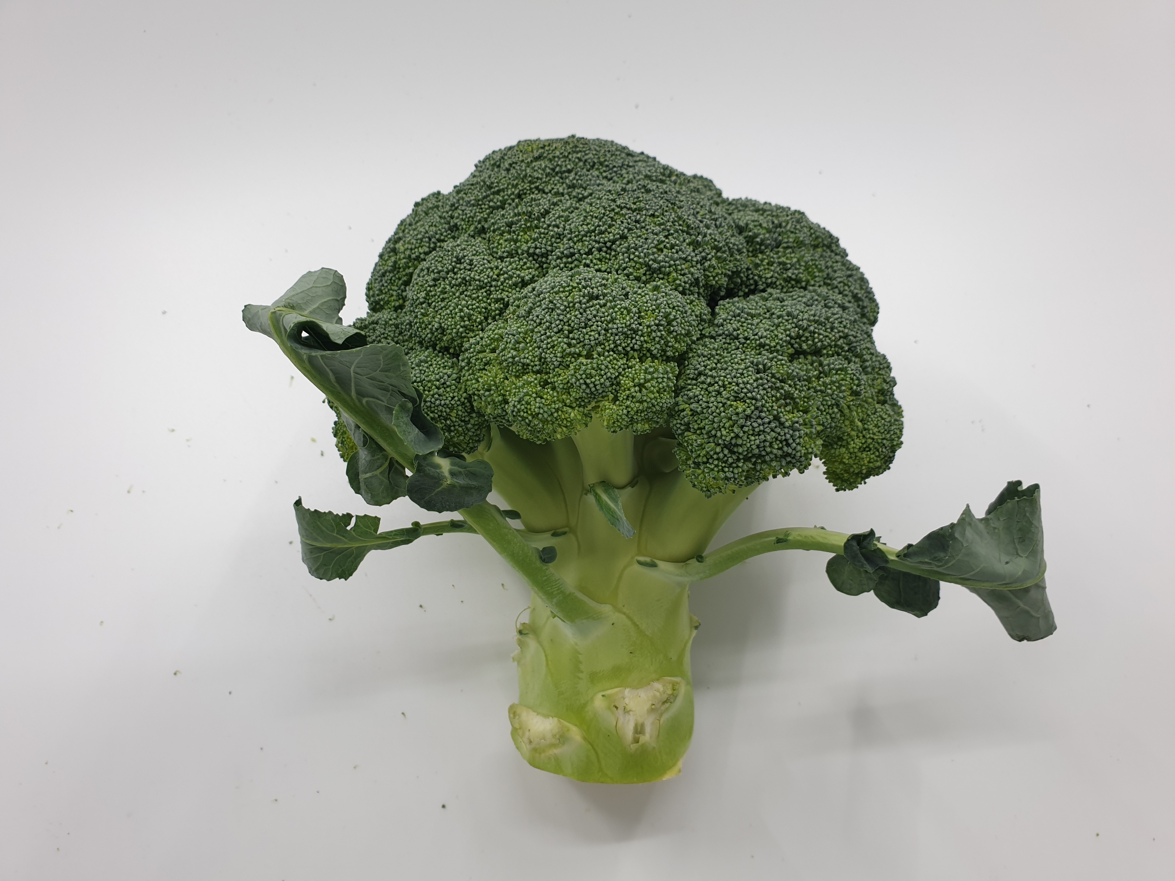 브로콜리 브로컬리 1kg 국내산 - 메인 이미지