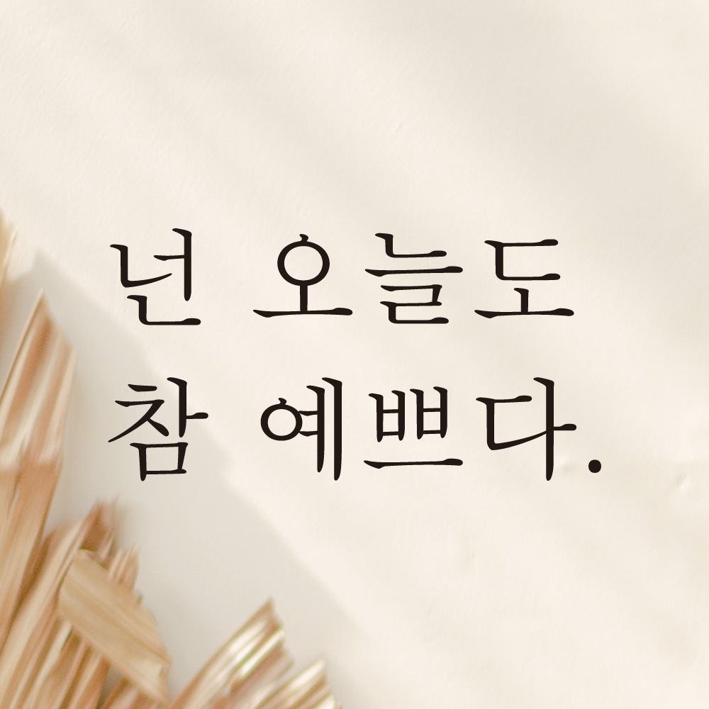 레터링 카페 커피숍 스티커 넌 오늘도 참 예쁘다 검정S - 상세 이미지 3