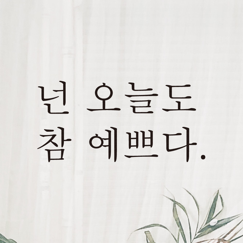 레터링 카페 커피숍 스티커 넌 오늘도 참 예쁘다 검정S - 상품 이미지