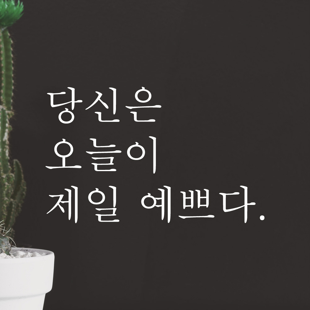 레터링 카페 스티커 당신은 오늘이 제일 예쁘다 검정S - 상세 이미지 4