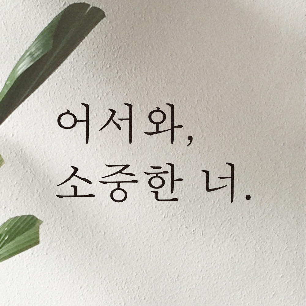 레터링 현관문 스티커 어서와 소중한 너 검정S - 상품 이미지