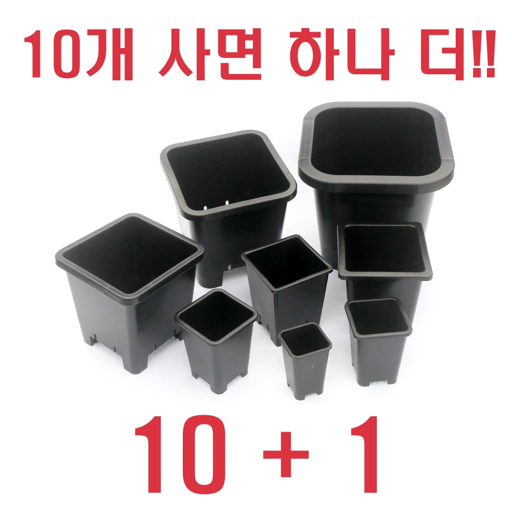 다육이야기 국산 슬릿 플라스틱 플분 화분 사각 블랙 10+1 사각0.5호, 검정 - 상세 이미지 4