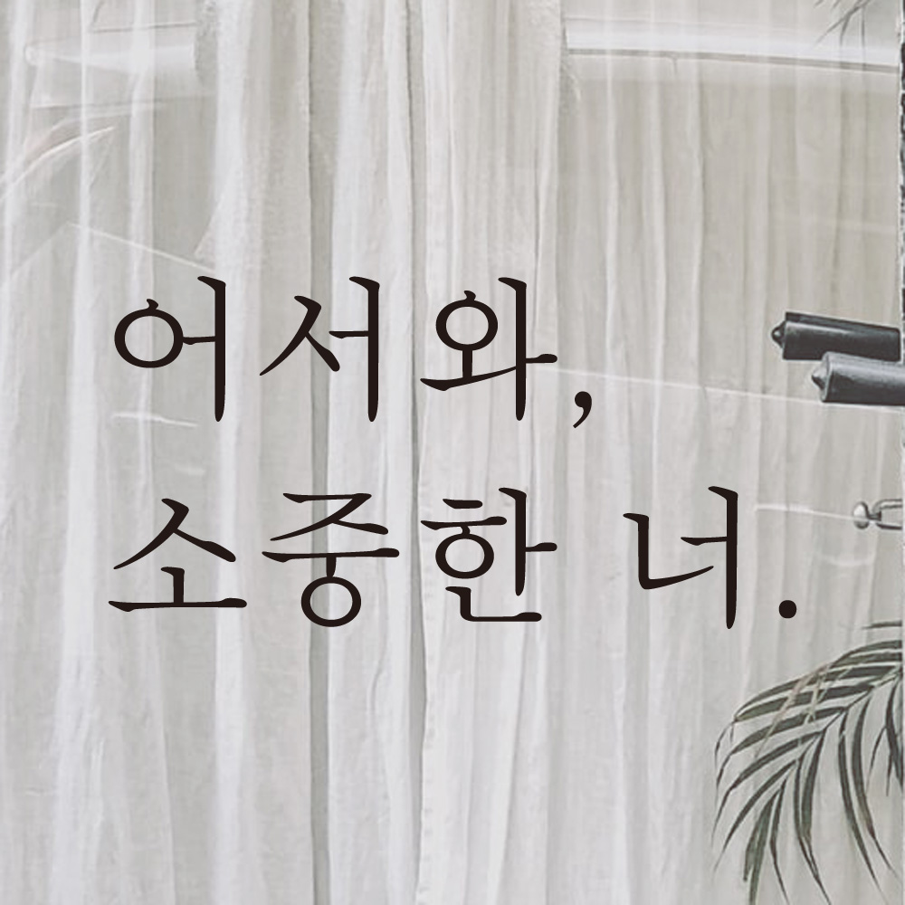 레터링 현관문 스티커 어서와 소중한 너 검정S - 상세 이미지 2