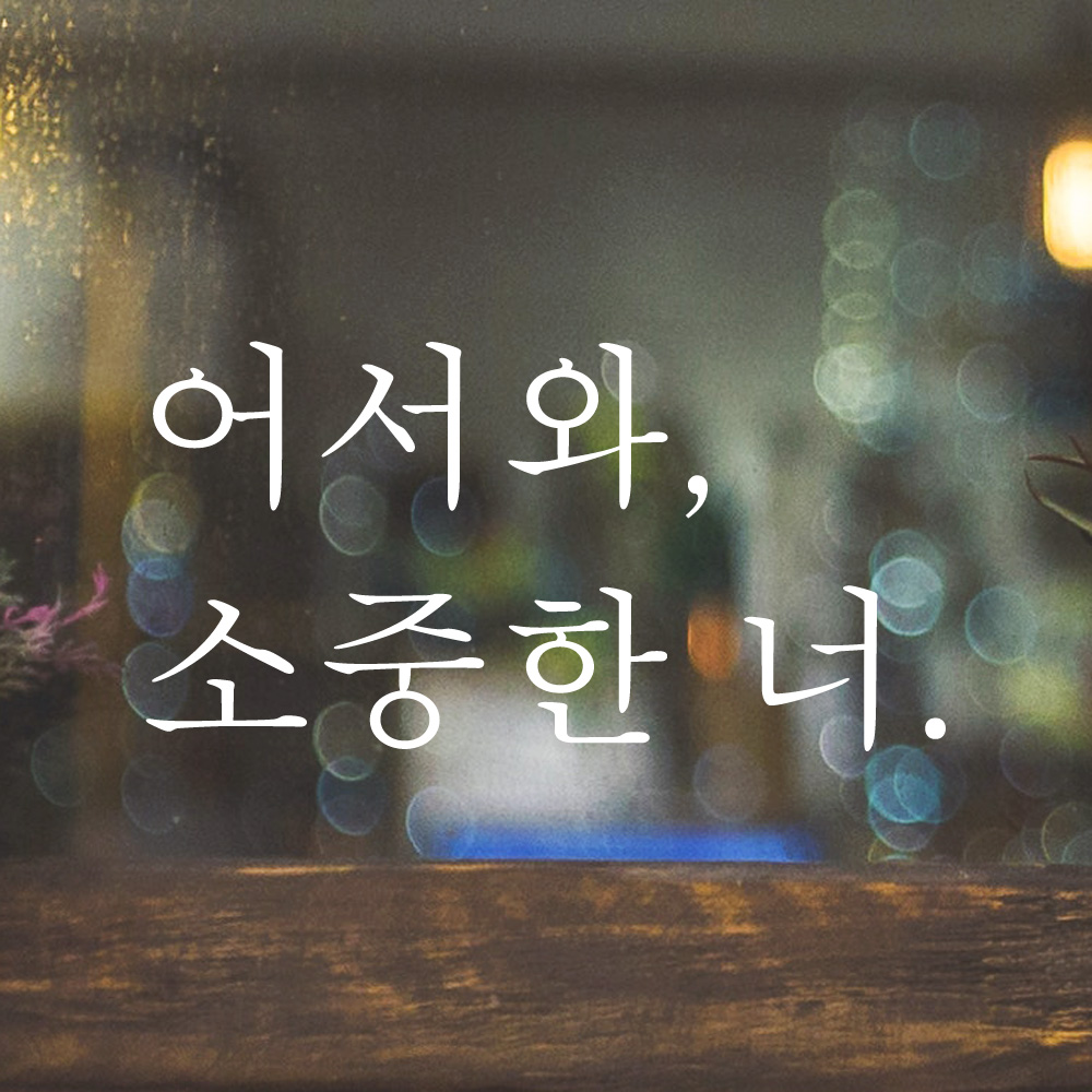 레터링 현관문 스티커 어서와 소중한 너 검정S - 상세 이미지 3