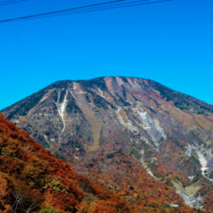 일본 도치기현 닛코 패스 솔직 후기 | 실사용자 리뷰 분석 - 상품 이미지 4