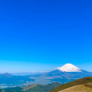 일본 후지산 & 하코네 일일 투어 (도쿄 출발 / 아시노호 크루즈 & 코... 솔직 후기 | 실사용자 리뷰 분석 - 상품 이미지 2