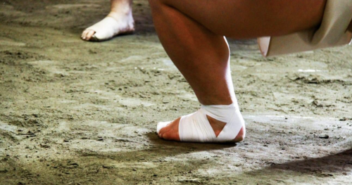 일본 도쿄 스모 훈련 참관 이미지 4