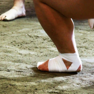 일본 도쿄 스모 훈련 참관 솔직 후기 | 실사용자 리뷰 분석 - 상품 이미지 4