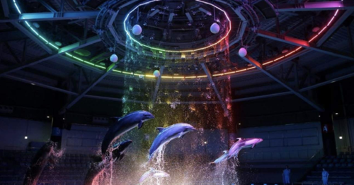 일본 도쿄 맥스웰 아쿠아 파크 시나가와 입장권 - 상세 이미지 3