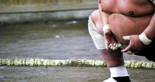 일본 도쿄 스모 훈련 참관 이미지 3