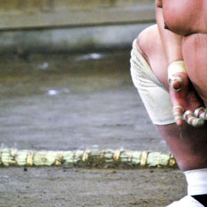 일본 도쿄 스모 훈련 참관 솔직 후기 | 실사용자 리뷰 분석 - 상품 이미지 3