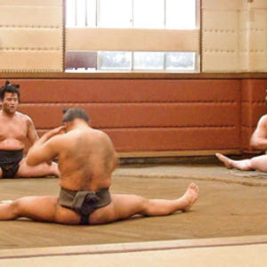 일본 도쿄 스모 훈련 참관 솔직 후기 | 실사용자 리뷰 분석 - 상품 이미지 2