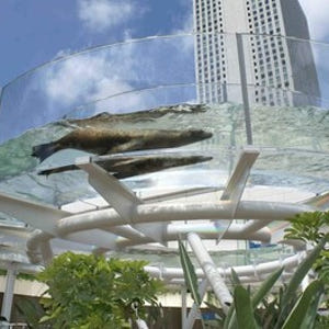 일본 도쿄 선샤인 수족관 입장권 솔직 후기 | 실사용자 리뷰 분석 - 상품 이미지 3