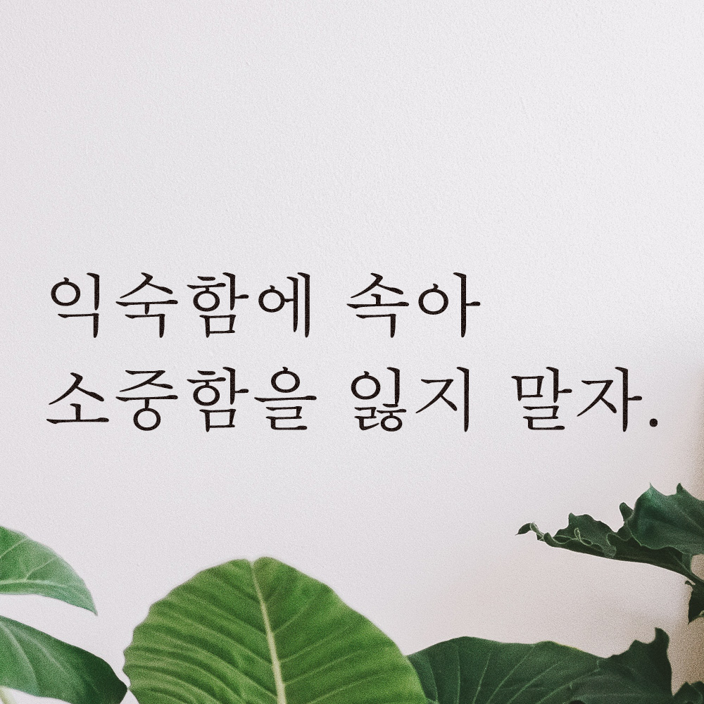 레터링 글자 스티커 익숙함에 속아 소중함을 잃지 말자 검정S - 상세 이미지 5
