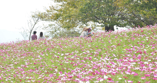 일본 도쿄 치바 마더 목장 티켓 - 상세 이미지 5