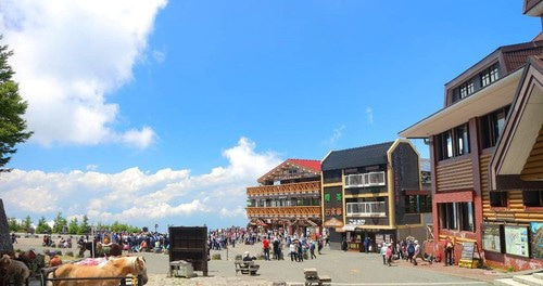일본 후지산 꽃 축제 & 로프웨이 & 과일 수확 체험 (도쿄 출발) - 상세 이미지 4