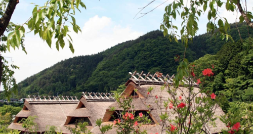 일본 후지산 & 가와구치코 풍경 명소 일일 투어 (도쿄 출발) 이미지 2