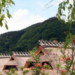 일본 후지산 & 가와구치코 풍경 명소 일일 투어 (도쿄 출발) 솔직 후기 | 실사용자 리뷰 분석 - 상품 이미지 2