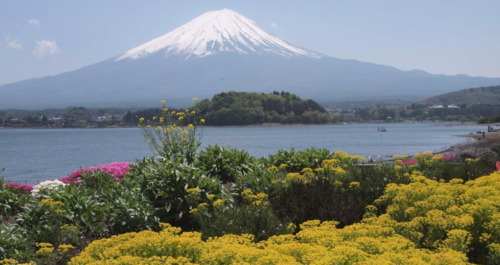 일본 후지산 & 가와구치코 풍경 명소 일일 투어 (도쿄 출발) 이미지 3