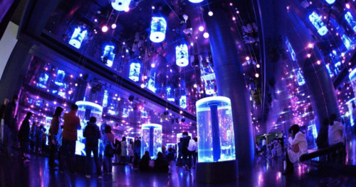 일본 도쿄 맥스웰 아쿠아 파크 시나가와 입장권 - 상세 이미지 2